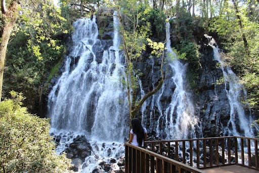 Visita la cascada velo de novia en valle de bravo: una experiencia inolvidable