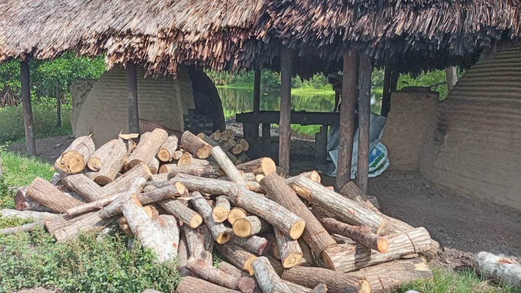 El oficio del carbón vegetal en las comunidades cercanas a Valle de Bravo